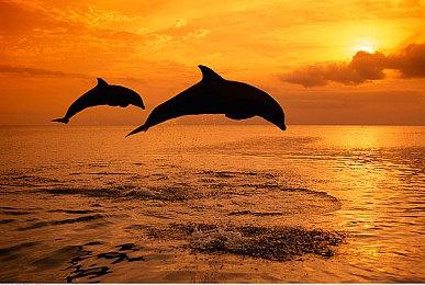 《庄园领主》没提前公开售价原因：不想让玩家被骗