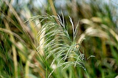 实时格子动作肉鸽游戏《Guidus Zero》Steam页面公布 支持简繁体中文